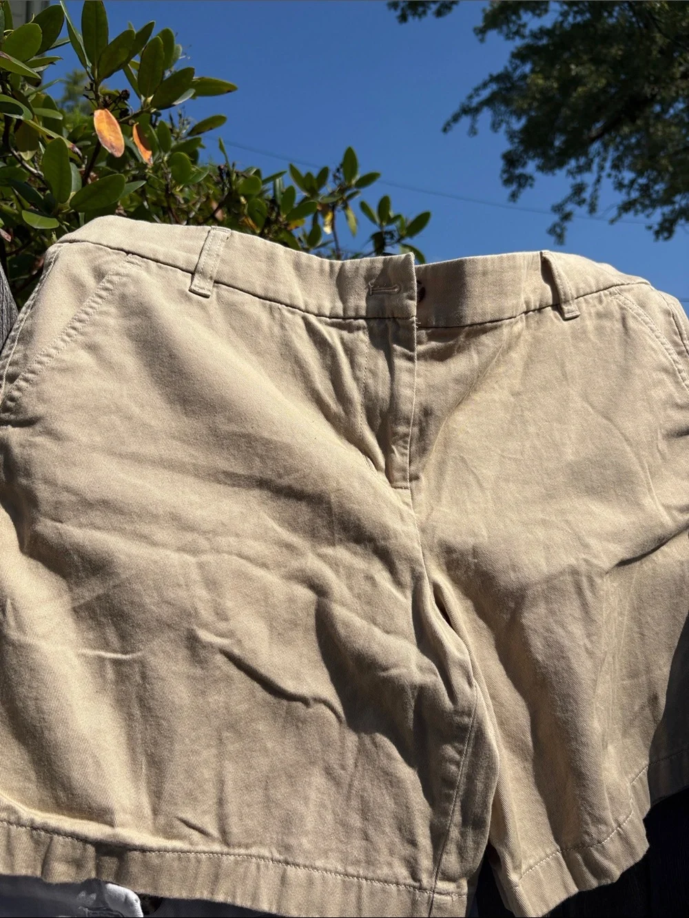 J. Crew size 14 cotton shorts BUNDLE!!